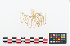Foto von Goldspiralring (NHMW-PRAE-025712)